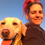 Shirley's Dog Pack - @shirleysdogpack - Instagram