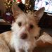 Shirley Parent - Facebook