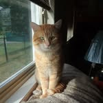 Shirley Parent-Forgues - @parentforgues - Instagram