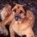 Shirley Parrish - Facebook