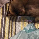 Shirley Parsons - @shirley_parsons_ - Instagram
