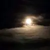 Shirley Parsons - @shirley.parsons313 - TikTok