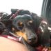 Shirley Persinger - Facebook