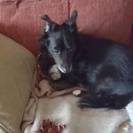 Shirley Pitman - @pitman763 - Instagram