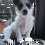 Shirley Pitman - @mammie_x9 - Instagram
