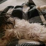 Shirley Pittman - @shirley_pitman__ - Instagram