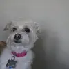 Shirley Polanco - @shirley_polanco - TikTok