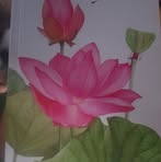 Shirley Polancos - Facebook