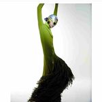 Shirley Post - @shirleypost63 - Instagram