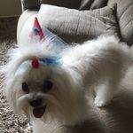 Shirley Prieto - @shirley.prieto - Instagram