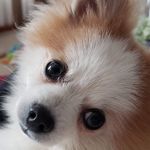 Shirley Pullman - @shirleypullman - Instagram