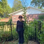 @shirleyrennergarnto - Instagram