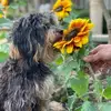 Shirley Ritchie - @shirley.ritchie4 - TikTok