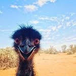 Shirley Ritchie Zinn - @shirley_zinn - Instagram