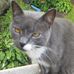 Shirley Roeder - Facebook