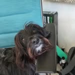 Shirley Rost - @shirleyrost - Instagram