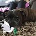 Shirley Rowley - Facebook