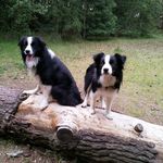 Shirley Rowley - @shirley.rowley08 - Instagram