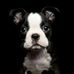 Shirley Rowley - Facebook