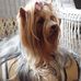 Shirley Rucker - Facebook