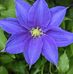 Shirley Rucker - Facebook