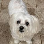 Shirley Samples - @samplesshirley - Instagram