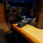Shirley Sayers - @shirley.sayers.9 - Instagram
