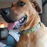 Shirley Sayers - @s.chappell567 - Instagram
