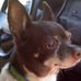Shirley Saylor - Facebook