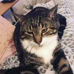 Shirley Scheid - @charly_sch11 - Instagram