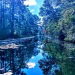 Shirley Self - @shirleyself49 - Instagram
