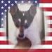 Shirley Shultz - Facebook