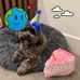 Shirley Singleton - Facebook