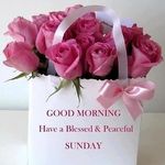Shirley slagle - @shirley_slagle_ - Instagram