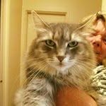 Shirley Smart - @smartshirley - Instagram