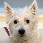 Shirley Smart - @shirleysmart46 - Instagram
