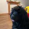 shirleysmart612 - @shirleysmart612 - TikTok