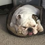 Shirley Spaulding - @shirley.spaulding - Instagram