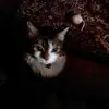 shirleystaten8 - @shirleystaten8 - TikTok