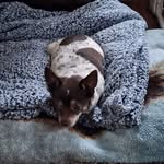 Shirleyann Stclair - @shirleyann.stclair - Instagram