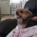 Shirley Stein - Facebook