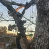 Riley_stidham - @your_momma380 - TikTok