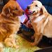 Shirley Stoddard - Facebook