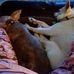Shirley Stoddard - Facebook