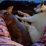 Shirley Stoddard - @shirley.stoddard1 - Instagram