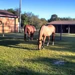 Shirley Stratton - @stratton5256 - Instagram