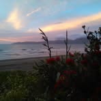 Shirley Stratton - Facebook