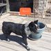 Shirley Stringfellow - Facebook