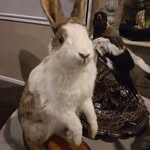 Shirley Sutherland - @shirleysutherland26 - Instagram