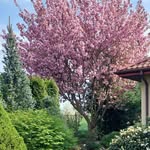 Shirley Sutherland - @shirleysutherland5563 - Instagram